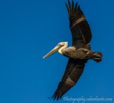 DSC_3224.jpg