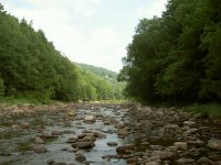 Loyalsock upstream.jpg