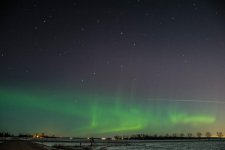 DSC_0731-2.jpg