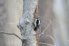 _DSC3769.jpg