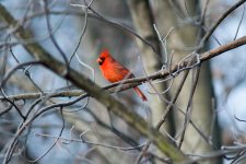 _DSC3796.jpg