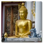 buddha11.jpg