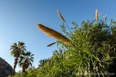 DSC_3514.jpg