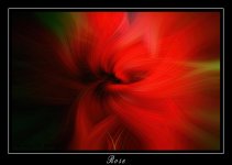 W_DSC_9293.jpg