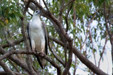 DSC_3777.jpg
