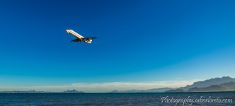 DSC_3733.jpg