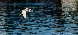 DSC_3209.jpg