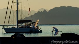 DSC_3348.jpg