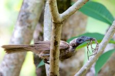 DSC_3803.jpg