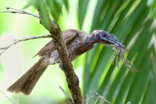 DSC_3806.jpg