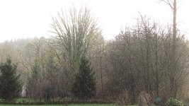 b_IMG_4313.jpg