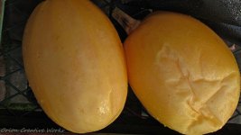b_IMG_4340.jpg