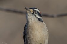 untitled-4720.jpg