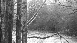 b_IMG_4349.jpg