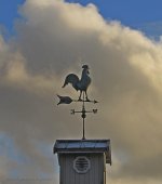 b_IMG_4368.jpg