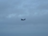 DSCN0302.JPG