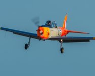 DSC_3243.jpg