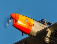DSC_3251.jpg