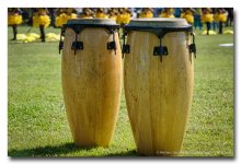 drums.jpg