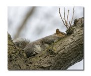 DSC_2443.jpg