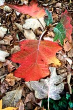 IMG_0332 - Version 2.jpg