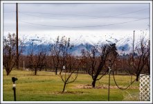 _DSC3896.jpg