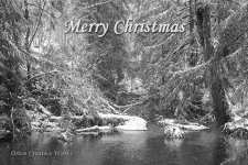 xmas 4x6a.jpg