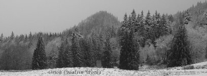 A_IMG_1584aa.jpg