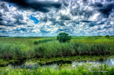 D71_4735_6_7_8_9_tonemapped.jpg