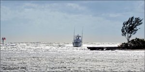 12-13-15 LHP 500mm Test 12.jpg
