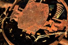 steel-trap_outtake-DSC_2886.jpg