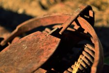 steel-trap_outtake-DSC_2887.jpg