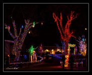 W_DSC_9163.jpg