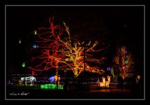 W_DSC_9166.jpg