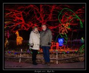 ChristmasLights.jpg