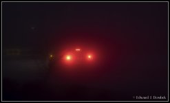 Fog_02.jpg