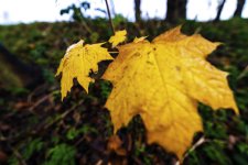_DSC2673.jpg