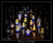 W_DSC_9244.jpg