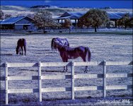 12-16-15 Tradewinds IR   1.jpg