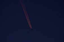 ROY_3209.JPG