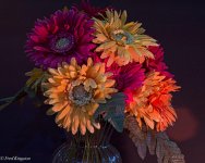 NightFlowers8X10.jpg