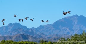DSC_4489.jpg
