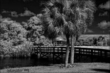 12-16-15 Tradewinds IR   13.jpg