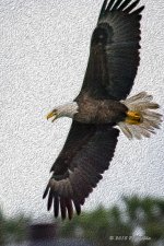D71_7964-Edit.jpg