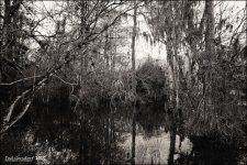 12-17-15 Bonita    5.jpg