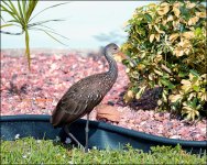 12-19-15  Visitor  1.jpg