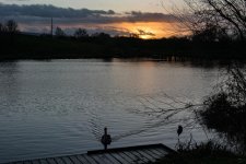 DSC_6936.jpg