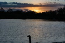 DSC_6939.jpg