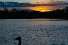 DSC_6940.jpg