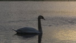 DSC_6892.jpg